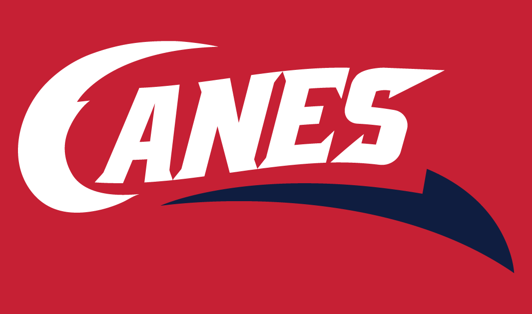 Lethbridge Hurricanes 2013 14-Pres Secondary Logo 2 vinyl decal